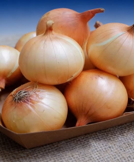 What Doctors Say Happens When You Eat Onions