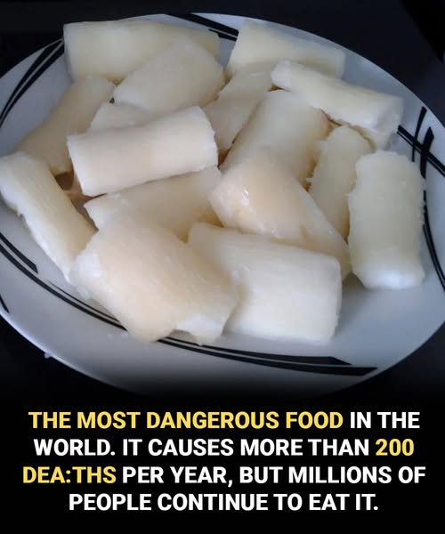 Despite Being the ‘World’s Deadliest Food,