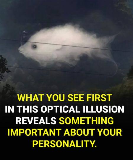 Optical illusion: What you see first reveals something important about your personality