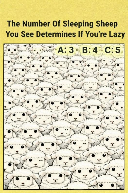 Only Sharp Eyes Can Spot All the Sleeping Sheep — Can You?