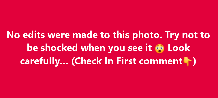 Remembering the Brightest Stars