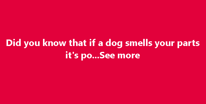 If your dog is sniffing your genital area,