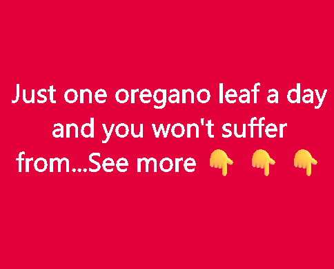 5 Reasons Seniors Should Add Oregano to Their Diet!