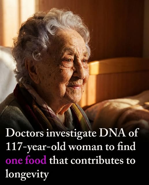 Scientists Decode the Secret Behind a 117-Year-Old Woman’s Life — and Discover the Surprising Food Linked to Her Longevity
