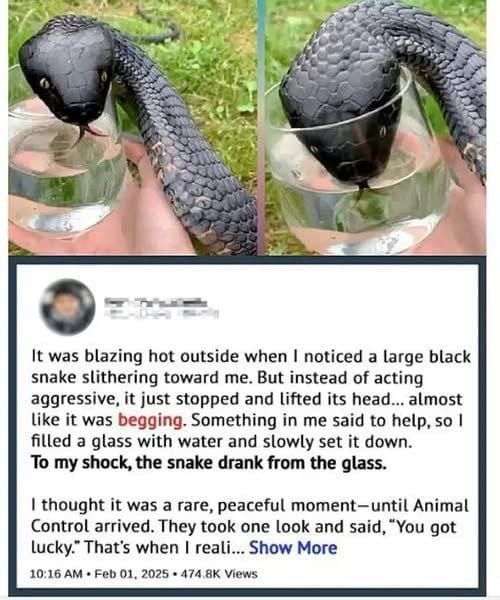 I thought it was just thirsty—until