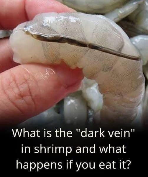 What Is the “Shrimp Vein”? A Complete Guide to Understanding, Cleaning, and Cooking Shrimp