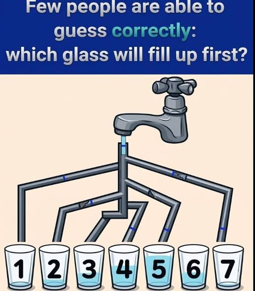 Puzzle Challenge: Which of the 7 Glasses Will Fill First? A Simple Visual Test That Reveals Surprising Insights About Logic, Observation, and How Your Mind Approaches Problem-Solving, Leaving Participants Curious, Competitive, and Eager to See If Their Answer Matches the Correct Solution, Sparking Debate, Fun, and a Deeper Look at Human Perception