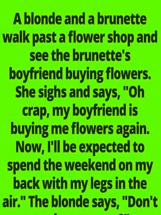 Boyfriend Brings Flowers Again—But the Blonde’s Comeback Leaves Everyone Speechless