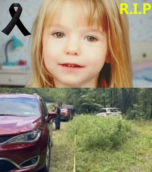 Missing girl found in the woo