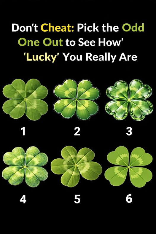 Don’t Ch:eat. Pick the Odd One Out to See How “Lucky” You Really Are