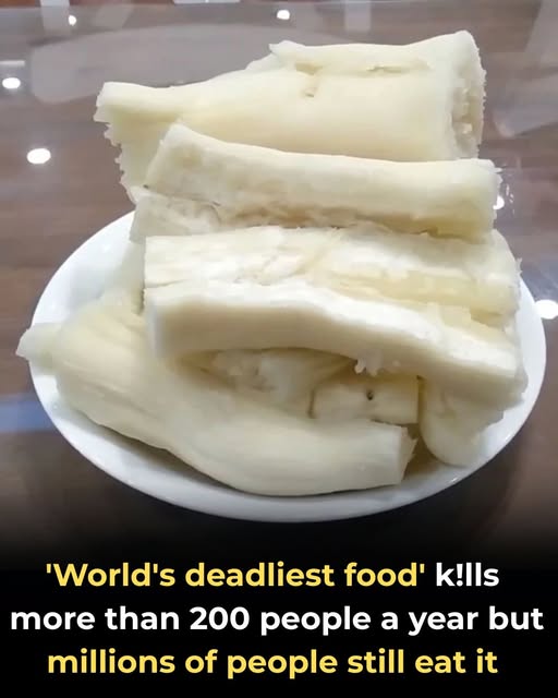 Despite Being the ‘World’s Deadliest Food,’ 500 Million Still Consume It, and It Claims Over 200 Lives Annually