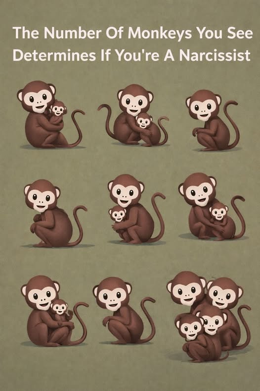 How Many Monkeys Do You See? The Answer Might Surprise You