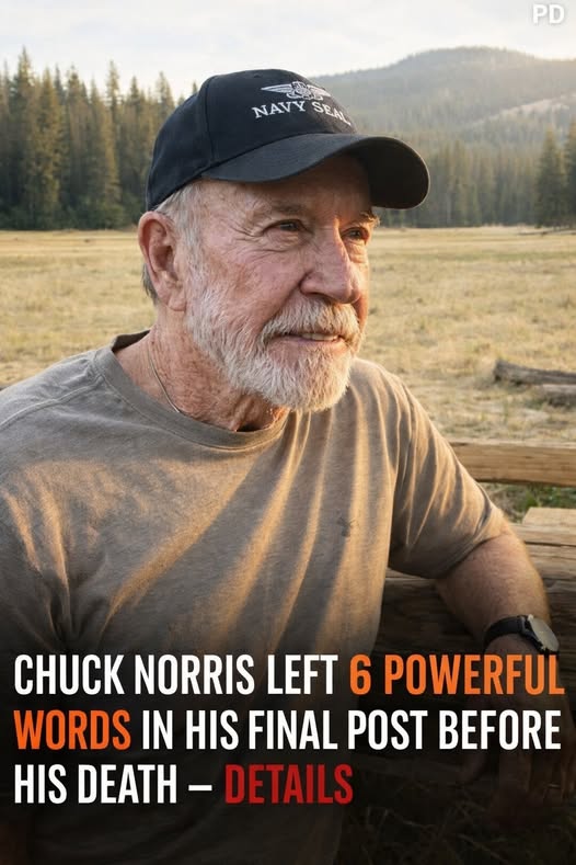 Recent News About Chuck Norris at 86 Draws Widespread Attention