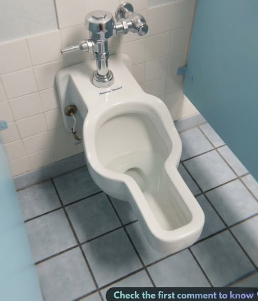 Huntsville Space Center Introduces Innovative Women’s Urinals to Improve Hygiene, Efficiency, and Inclusivity in Public Restrooms, Reflecting Modern Design Advances Aimed at Reducing Wait Times, Conserving Water, and Supporting Female Astronaut Training Needs While Challenging Traditional Bathroom Infrastructure Standards