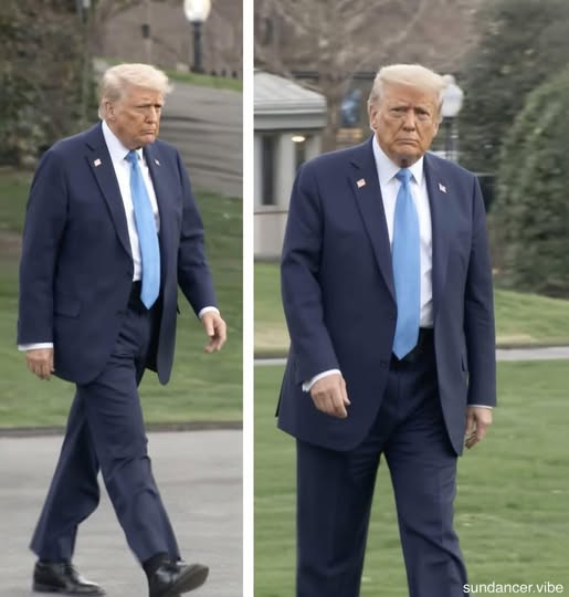 A Resurfaced Photo of Donald Trump Walking Toward Marine One Sparks Fresh Debate
