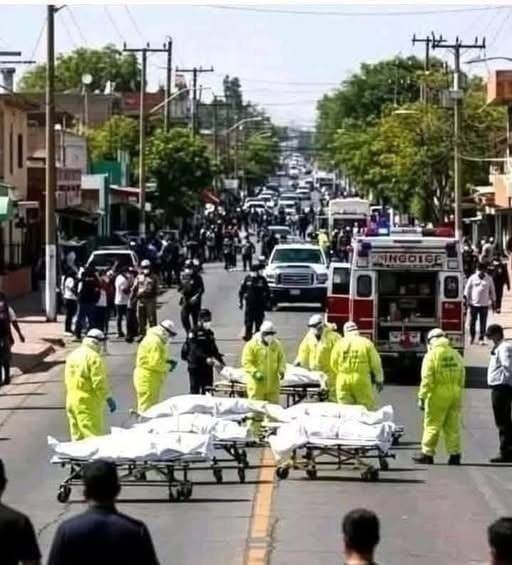 Father kills family just because they did it… See more