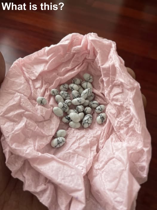 My younger brother is still in school.