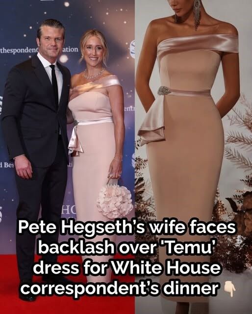 Style Sparks Firestorm As Cabinet Spouse’s Dinner Look Goes Vira