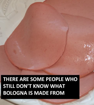 What Is Bologna Made Of?