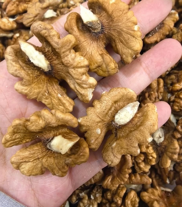 Doctors reveal that eating walnuts causes