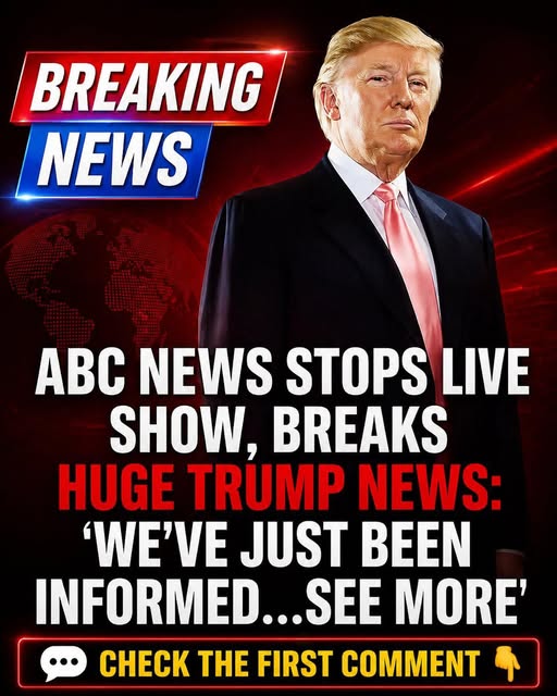 ABC Anchor Admits Truth As Trump’s DC Crackdown Yields Big Results