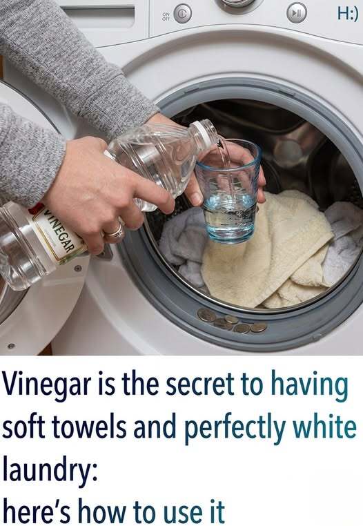 Yes, vinegar helps clean the washing machine thoroughly: here’s how to use it