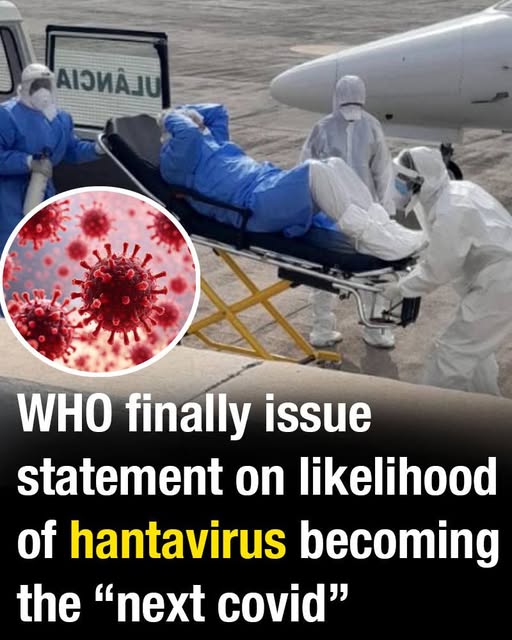 WHO finally issue statement on likelihood of hantavirus becoming the “next covid”