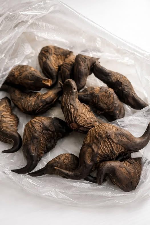 Search Results for “I Found A Strange Bag Of Food On My Doorstep And What Happened Next Will Shock You” – Tbdig