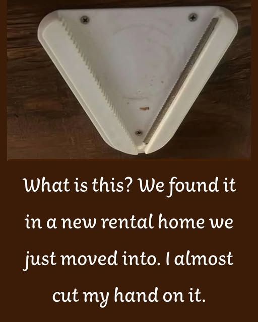 “What is this? It’s under the kitchen cabinet of the new home.”