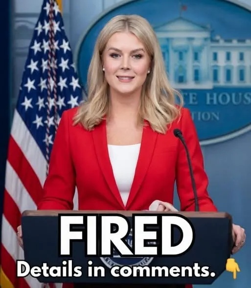 Leadership Changes at FEMA S