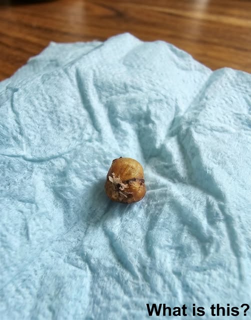 My girlfriend was washing her hair when t