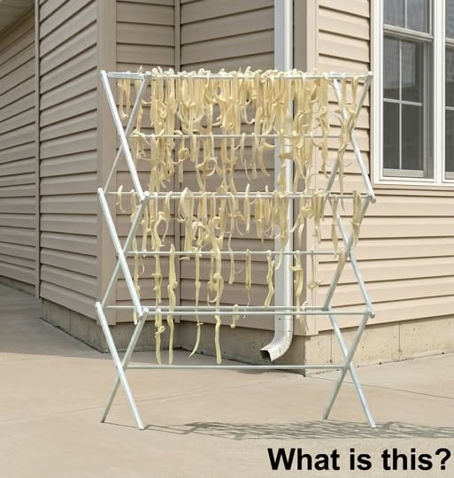 The Sun-Dried Mystery: How Homemade Pasta Turned an Ordinary Backyard Into a Neighborhood Puzzle