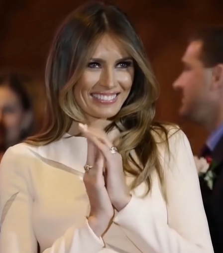 ‘Wow’: Users React to Melania Trump’s New Official Portrait – Photo