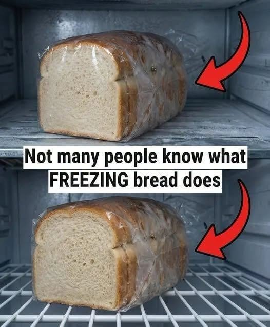 Freezing bread can preserve freshness, but improper storage causes dryness. Use airtight wrapping, double-layer protection, and proper thawing methods to keep bread soft, flavorful, and ready to enjoy without waste.