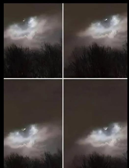 My Brother Took This Photo Just 21 km from Our Home—Can You Figure Out What It Is?
